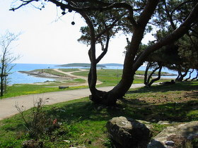 Premantura spiaggia