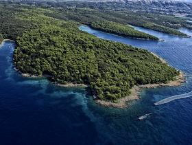 isola Rab coperta di verde