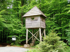 osservare la fauna nel Parco Risnjak