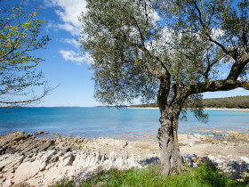 passeggiata nella baia Cisterna