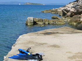 Sali snorkelling