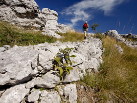 sentiero Premusic sul Velebit