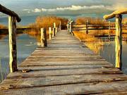 pontili sul lago Vrana