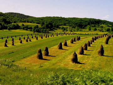 Parco Naturale campi boschi e lavori agricoli